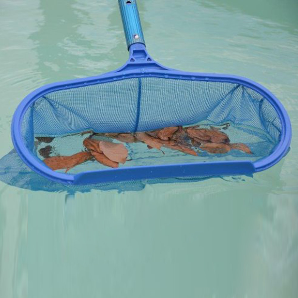 Filet d'écumage du cuir chevel - Pool Vacuum Manual avis et prix
